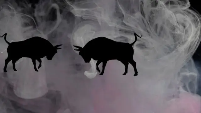 Biblical meaning of bulls fighting in a dream