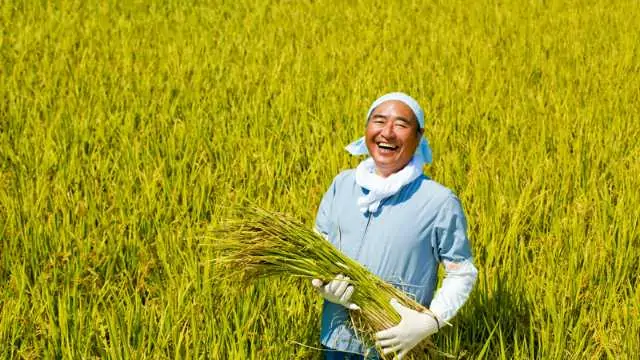 Dreaming harvesting during a drought