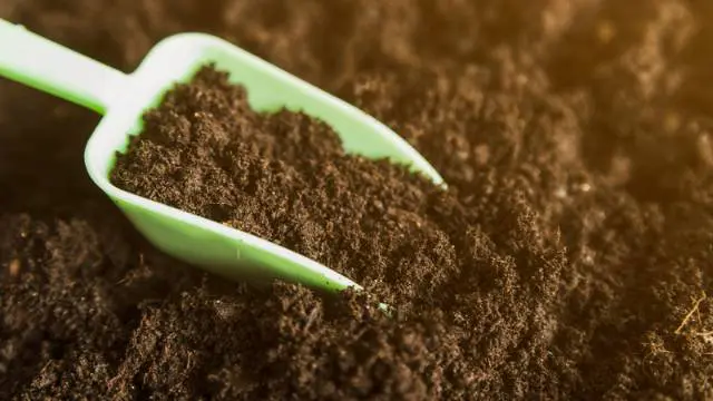 Someone scooping soil you have stepped on in a dream.