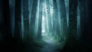 Wandering around in a dream Christian meaning