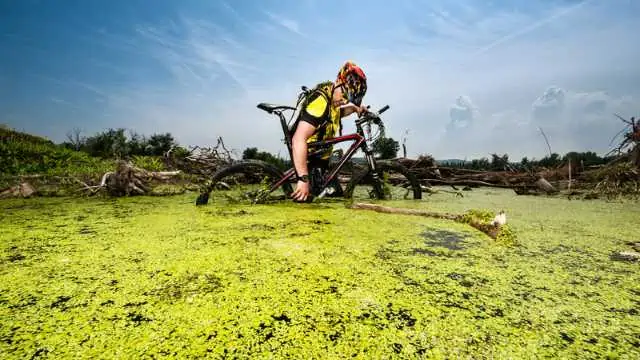 What does it mean to be stuck in a swamp in a dream?
