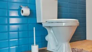 Dreaming pooping biblical meaning