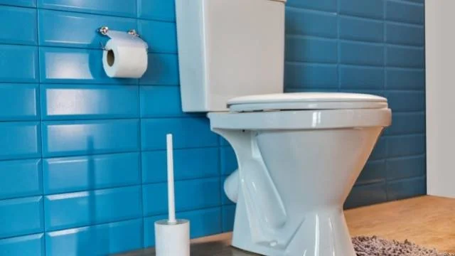 Biblical Meaning of Dreaming of Pooping | 16 Pooping Dreams