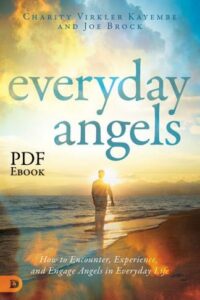 everyday angels pdf eBook