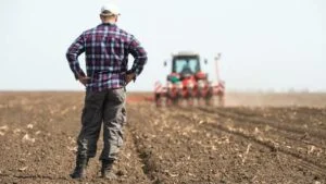Dream of cultivating land
