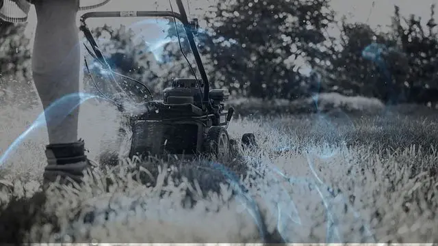 17 Biblical Meaning of Dreaming of Mowing