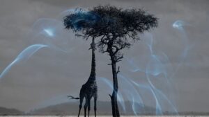 15 Biblical Meaning of Dreaming of a Giraffe