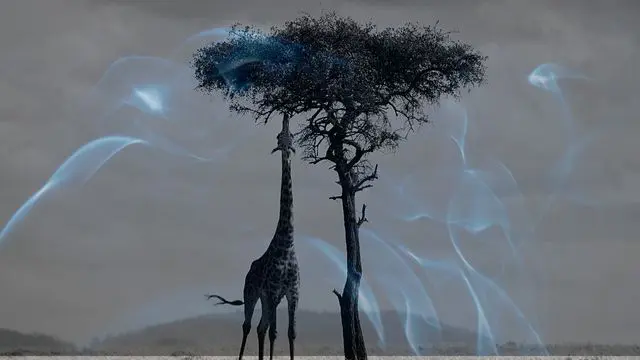 15 Biblical Meaning of Dreaming of a Giraffe