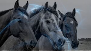 11 Dreams about horses | Dreaming of a horse