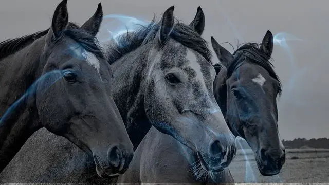 12 Biblical Meaning of Dreaming of a Horse