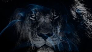 12 Biblical Meaning of Dreaming of a Lion