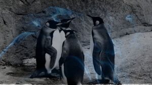 9 Penguin Dreams | Dreaming of a Penguin