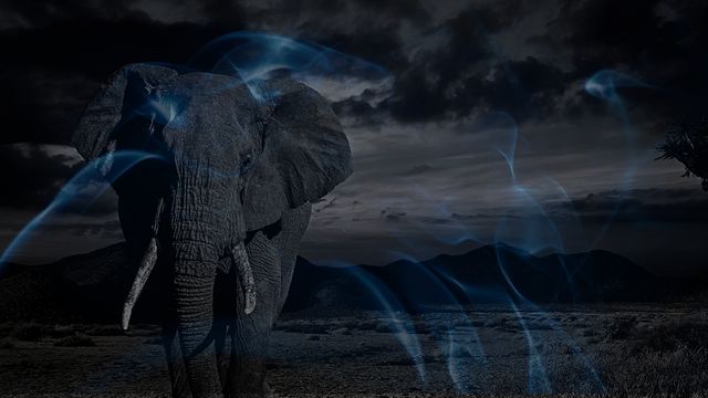 Biblical Meaning of Dreaming of an Elephant