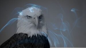 15 Biblical Meaning of Dreaming of an Eagle