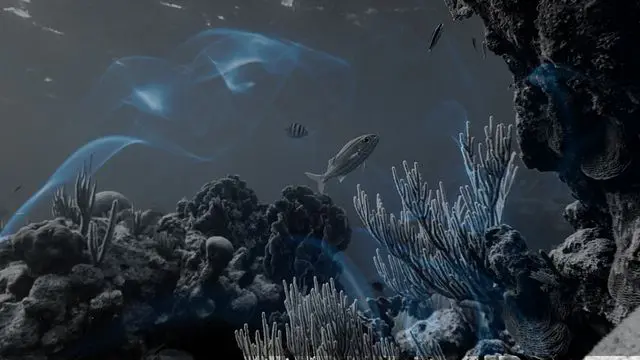 11 Biblical Meaning of Dreaming of an Ocean
