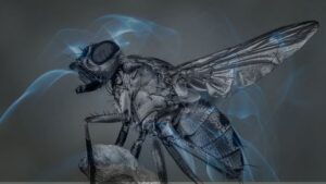 12 Dreams about Houseflies | Dreaming of Houseflies