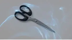 Dreaming of Scissors