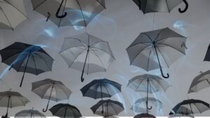 12 Umbrella Dreams | Dreaming of an Umbrella