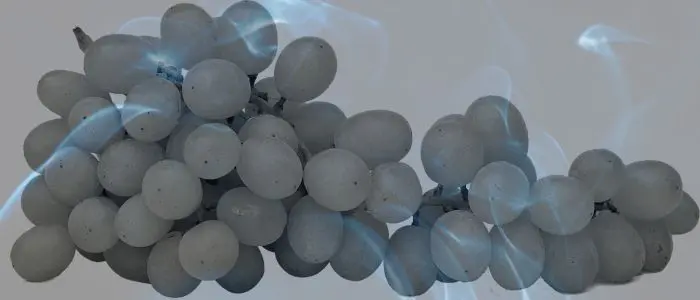 11 Biblical Meaning of Dreaming of Grapes