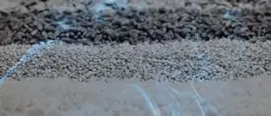 Biblical meaning of dreaming of Seeds