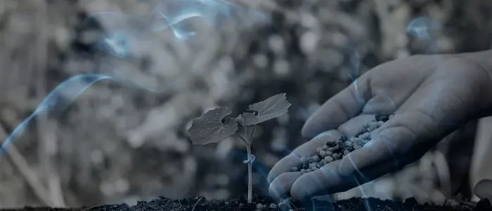 14 Biblical Meaning of Dreaming of Fertilizer