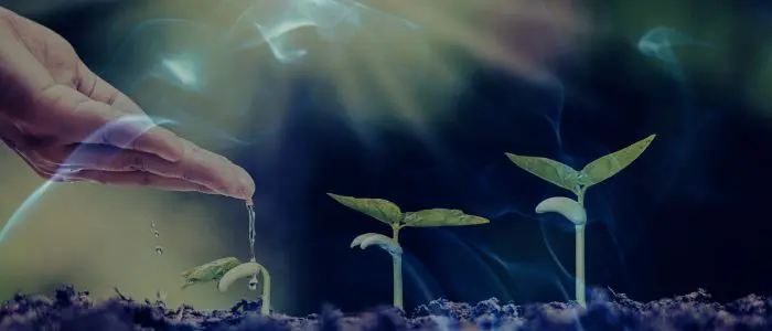 13 Biblical Meaning of Dreaming of Planting