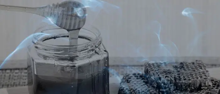 11 Biblical Meaning of Dreaming of Honey