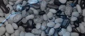 Biblical Meaning of Beans in a Dream
