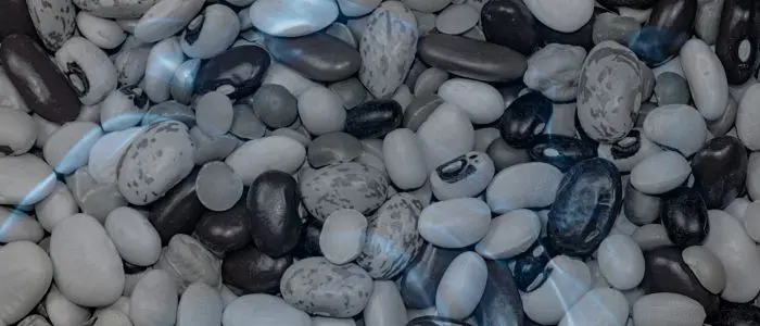 13 Biblical Meaning of Dreaming of Beans