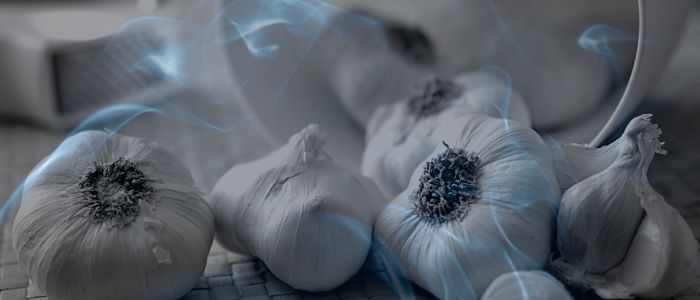 Biblical Meaning of Dreaming of Garlic