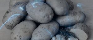 14 Biblical Meaning of Potatoes in a Dream