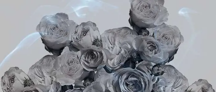 16 Biblical Meaning of Dreaming About Roses
