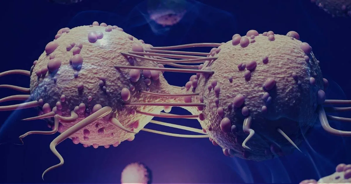 Dreaming About Cancer Disease