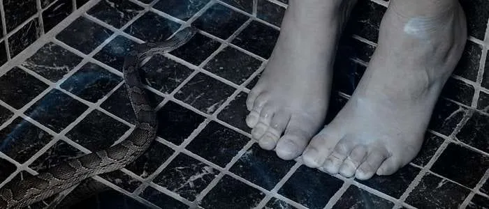 Dreaming of a Snake in Your Bathroom: 8 Biblical Meanings