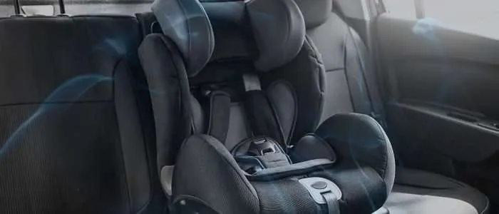 Dream of Driving a Car from the Passenger Seat
