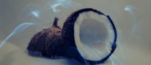 Dreaming of Coconuts: 15 Coconut Dreams Meanings