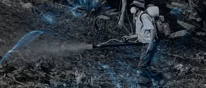 15 Biblical Meaning of Dreaming of Pesticides
