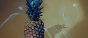 Dreaming of a Pineapple