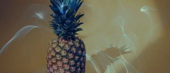 Dreaming of a Pineapple