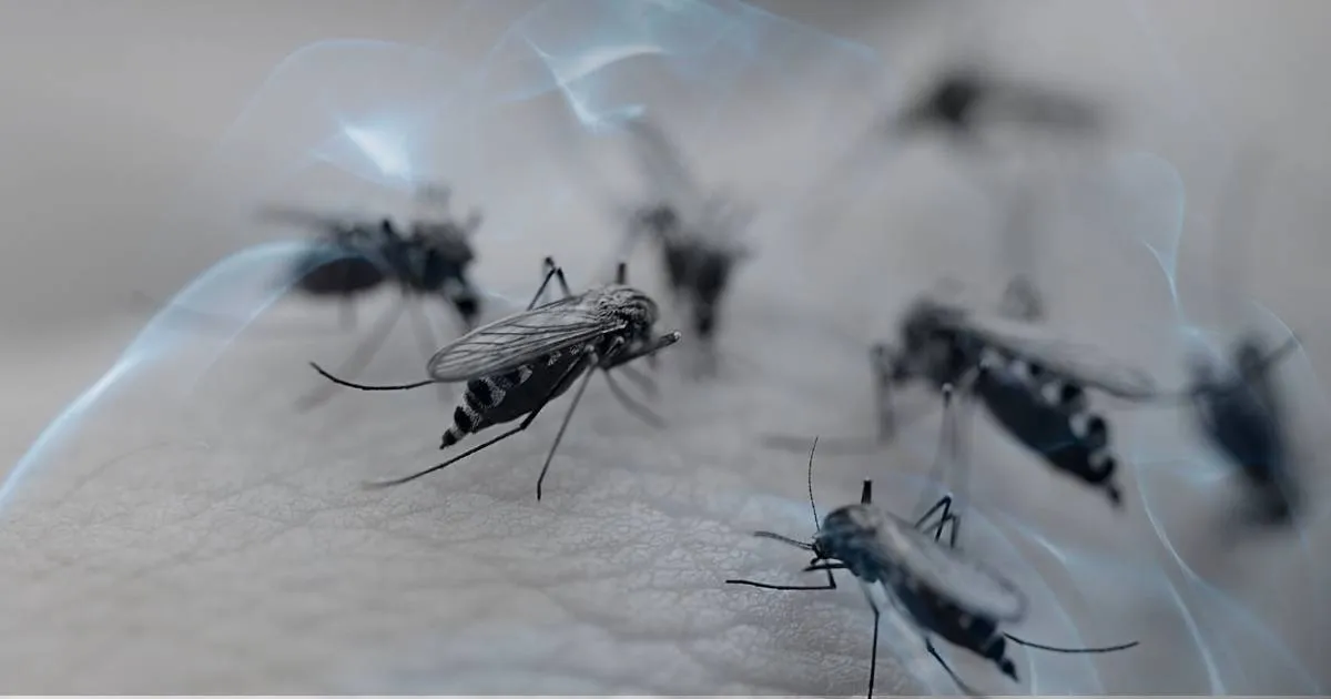 Dreaming About Malaria