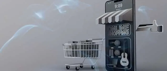 Dreaming of Owning an Online Store
