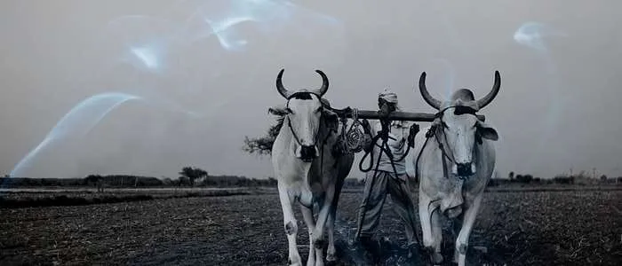 16 Biblical Meaning of Dreaming of a Plough