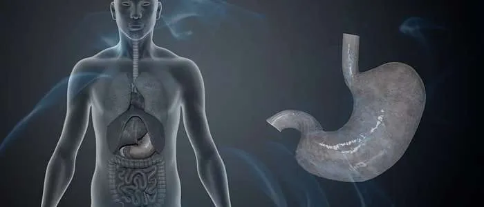 4 Biblical Meaning of Dreaming of a Stomach