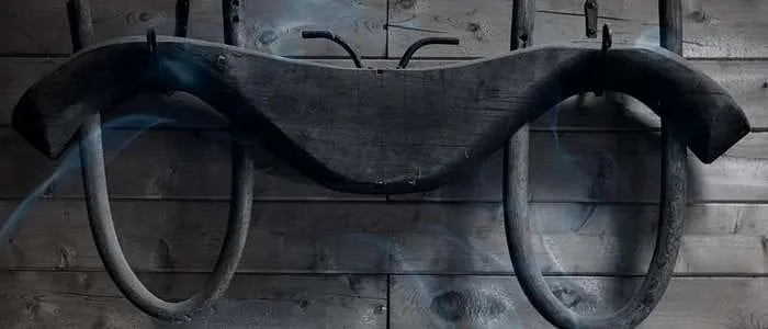 10 Biblical Meaning of Dreaming of a Yoke