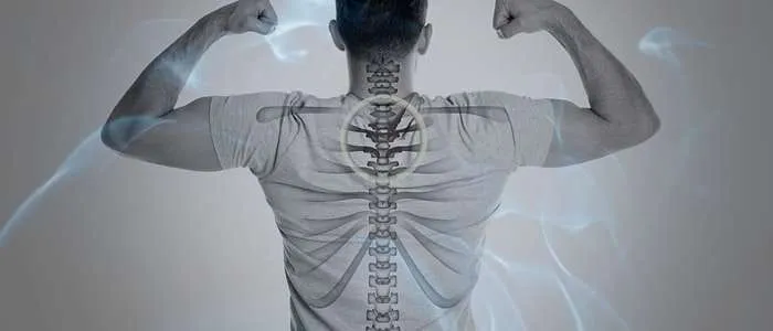 6 Biblical Meaning of Dreaming of a Backbone