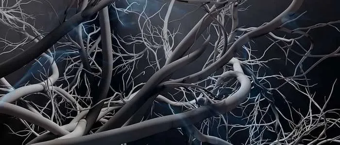 5 Biblical Meaning of Blood Vessels in a Dream