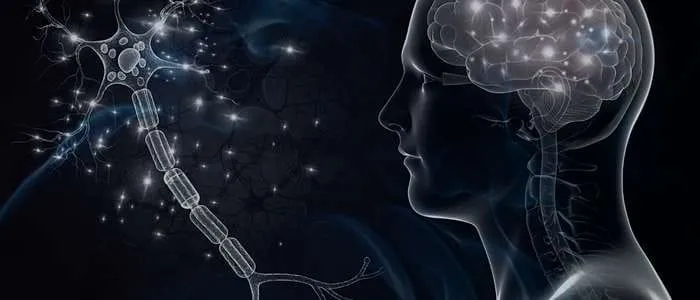 11 Biblical Meaning of Dreaming of a Brain