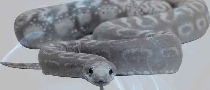 7 Biblical Meaning of Eating a Snake in a Dream