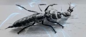 Dream of Flesh-Eating Bugs