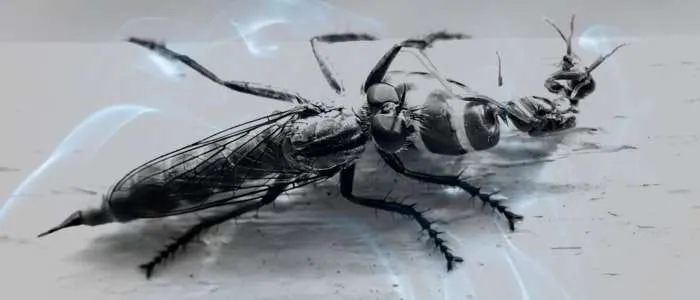 Dream of Flesh-Eating Bugs